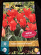 Tulp Oriental Beauty - 10st - Bloembollen - JUB Holland