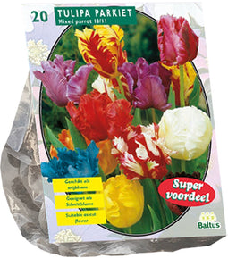 Tulpenbol Parkiet Mix - 1 x 20 bloembollen