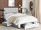 LIEVIN - Bed met opbergruimte - Lichtgrijs - 140 x 200 cm - Fluweel
