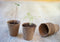 Turfpot H6x dia. 6cm set a 18 stuks