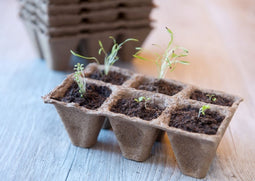 Turfpottrays H5x5x5cm set a 10 trays van 6 stuks