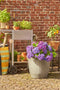 Mica Decorations Rio - Bloempot voor Buiten - H41 x Ø45 cm - Crème