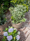 Capi Europe - Vaas Waste Rib NL - Breukbestendig - Terrazzo beige - Ø27 cm - 34x46 cm
