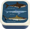 Rex London Lunchbox set met Broodtrommel / Drinkfles / Snackdoosjes (3 stuks) - Haai