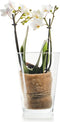 Conische vaas 'kick' h20 d14 cm