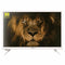 TV NEVIR 7710 LED LED HD Ready 24