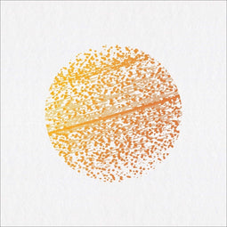 The Gathering - Beautiful Distortion - LP - Eclectisch album met warme zang