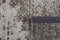 Seduction 840177 Vloerkleed - 300x400 - Rechthoek - Laagpolig Tapijt - Modern - Beige, Taupe