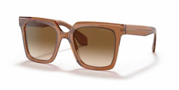 Giorgio Armani 8156 Transparent Brown/ Clear Gradient Brown - AR8156 593251