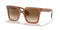Giorgio Armani 8156 Transparent Brown/ Clear Gradient Brown - AR8156 593251