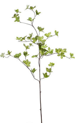 Emerald - Kunsttak Cornus blad 115cm - Kunstplanten voor binnen