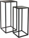 GOA Goa tafel - Plantentafeltje - 30x30x70 cm - Zwart