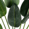 WOOOD Strelitzia Kunstplant - Groen - 61x108x50