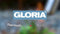 Gloria Thermoflamm Bio Classic PLUS - Onkruidbrander - Vlamtemperatuur tot 1.000° C