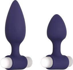 Twee anaalplugs met vibrerende bullet Evolved - - Paars