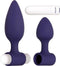 Twee anaalplugs met vibrerende bullet Evolved - - Paars
