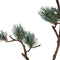 Twig Plant green brown ming pine spray