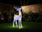 Twinkly 3D Stag Reindeer - 200 lamps