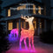 Twinkly 3D Stag Reindeer - 200 lamps