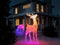 Twinkly 3D Stag Reindeer - 200 lamps