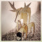 Atelier Pierre Nordic Eland Medium