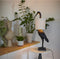 Light & Living Tafellamp Crane - Zwart/Crème - 33x30x76,5cm - Modern