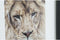 Schilderij DKD Home Decor Koloniaal Jungle (35 x 2,5 x 45 cm) (4 Stuks)