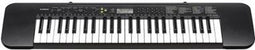 Casio CTK-240 - MIDI keyboard - 49 toetsen 100 klankkleuren 100 ritmes - Zwart