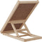 vidaXL Hondenloopplank - 70x35 cm - massief vurenhout - anti-slip - grijs