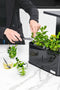 TEIG Home 3 - smart garden met LED verlichting - Zwart - (geautomatiseerd indoor kweekbak)