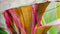 Heckett & Lane Neila - Dekbedovertrek - Lits-jumeaux - 260x200/220 cm - Multi kleur