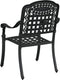 vidaXL - Tuinstoelen - - - Set - van - 2, - Zwart - Gietaluminium