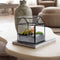 Growia - Terrarium Groeikas- 20cm