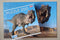 Tyrannosaurus puzzel 200 stukjes