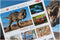 Tyrannosaurus puzzel 200 stukjes
