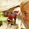 Tyrannozaurus Rex Czerwony