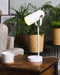 TYRIA - Bureaulamp - Wit - Metaal