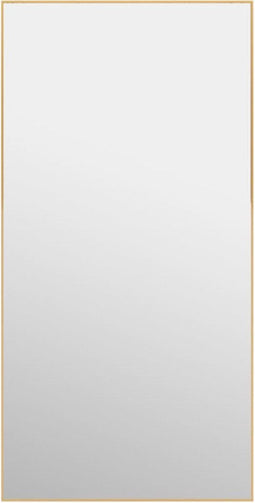 vidaXL - Deurspiegel - 50x100 - cm - glas - en - aluminium - goudkleurig