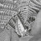 Komar - Fotobehang - Amazonia - Black - and - White - 400x250 - cm