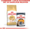 Royal Canin Sphynx Adult - Kattenvoer - 2 kg