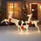 Coast 3-delige LED rendier familie XXL - 330 warmwitte LED's - Bok 136x41x152 cm / Hinde 86x20x107 cm / Kalf 48x20x74 cm