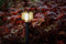 Garden Lights: Larix Buitenlamp 12 Volt - Antraciet