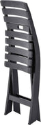 vidaXL - Tuinstoelen - inklapbaar - 2 - st - kunststof - antraciet