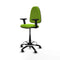 Piqueras y Crespo B2D01RN - Bureaustoel - Hoogteverstelbaar met armleuning - Pistache