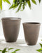 KATALIMA - Plantenbak - Bruin - 43 cm - Polyresin
