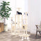 vidaXL - Kattenmeubel - met - sisal - krabpalen - 145 - cm - lichtgrijs