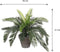 Mica Decorations Cycas Palm - Kunstplant H37 x Ø44 cm - Terracotta bloempot Groen