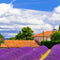 Customize it - Tuindoek raam frankrijk 210x140cm