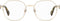 Brillenframe Dames Moschino MOS586-RHL Ø 52 mm