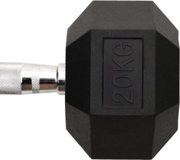 vidaXL - Halters - 20 - kg - gietijzer